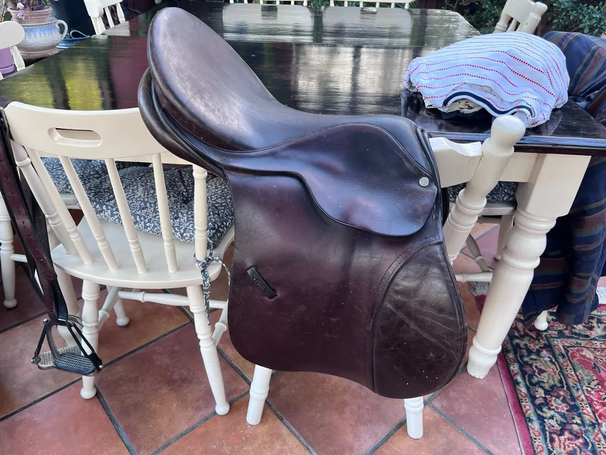 2 BERNIE SADDLES - Image 4