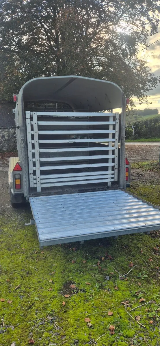 Nugent tri axle  Livestock trailer - Image 3