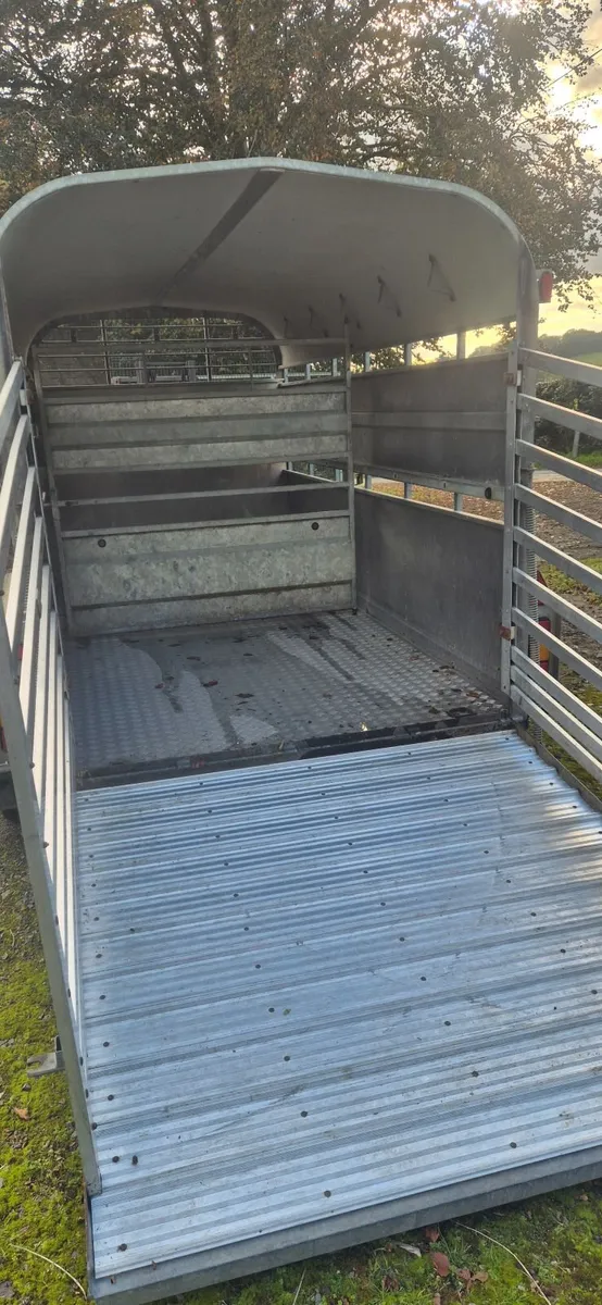 Nugent tri axle  Livestock trailer - Image 4