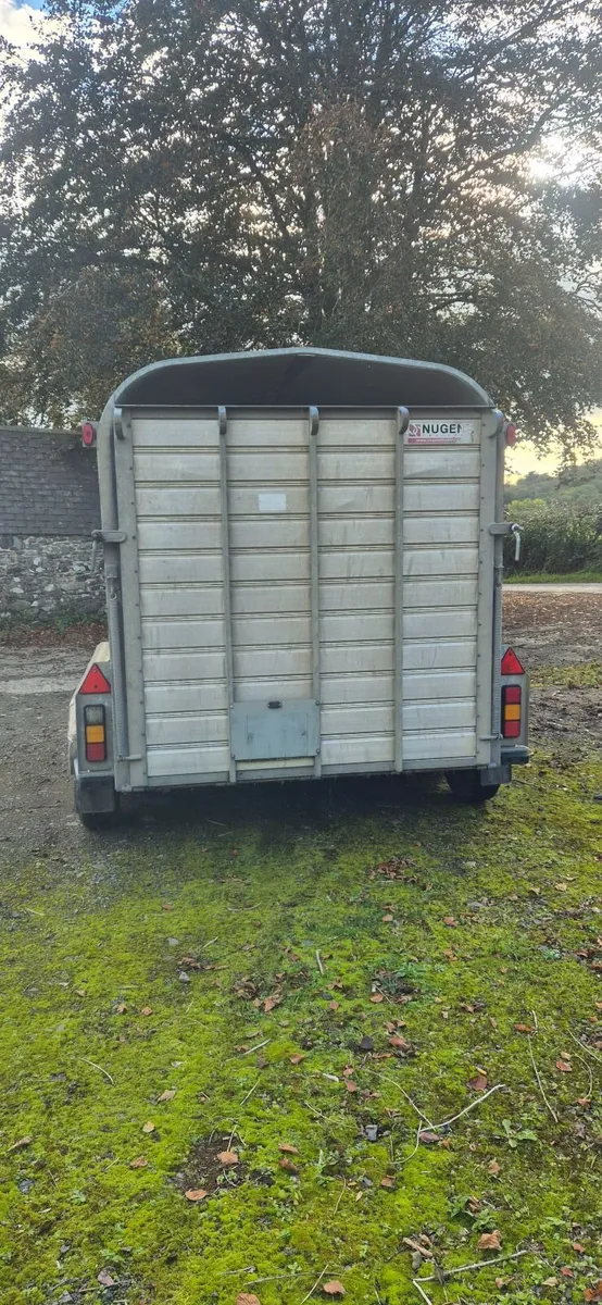 Nugent tri axle  Livestock trailer - Image 2
