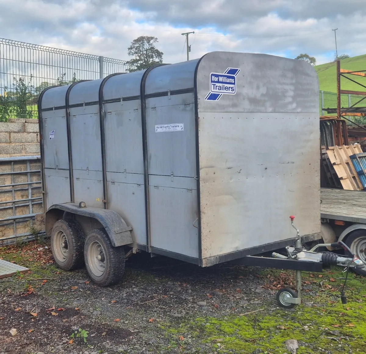 Ifor Williams livestock trailer
