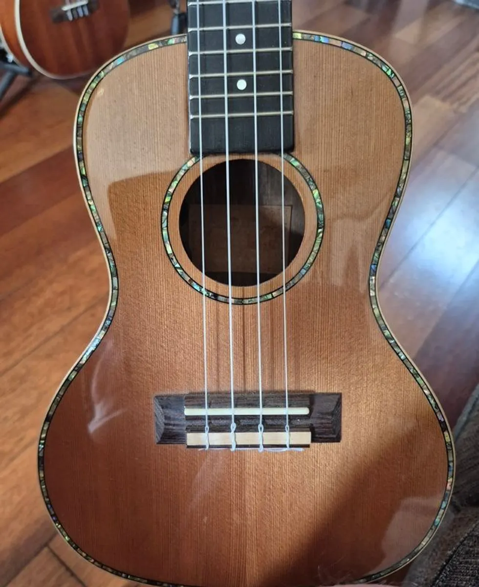 Freshman Ukulele - Image 4
