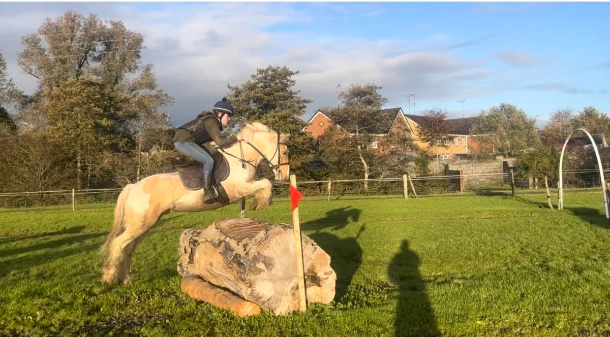 Super Cob - Image 1