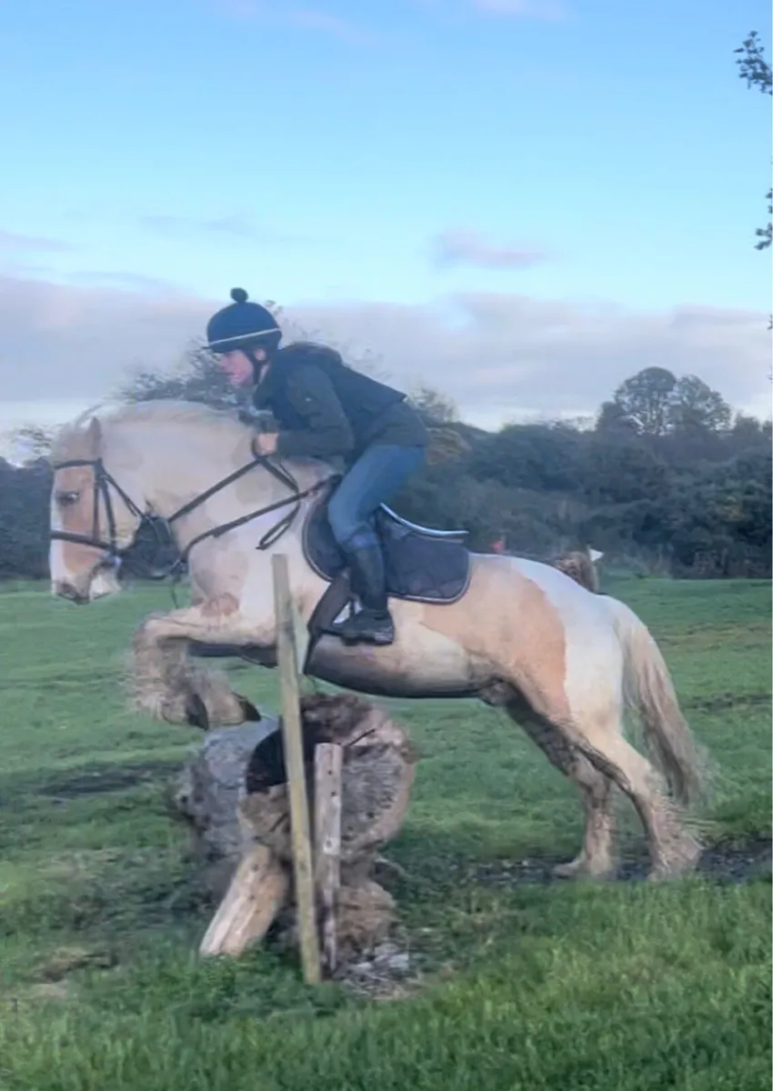 Super Cob - Image 2