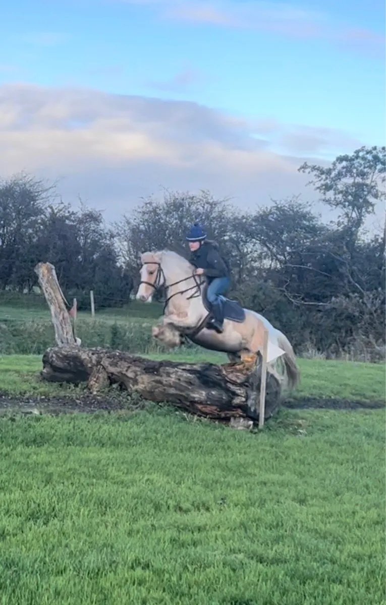 Super Cob - Image 3
