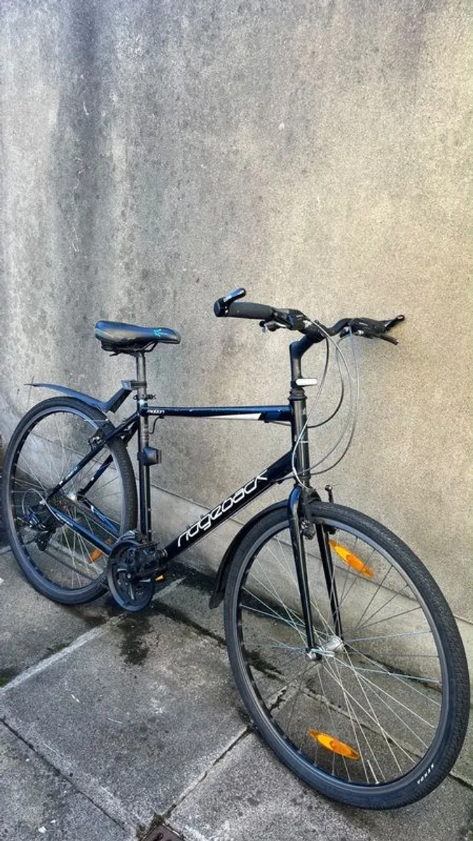 Ridgeback Motion bike - Image 2