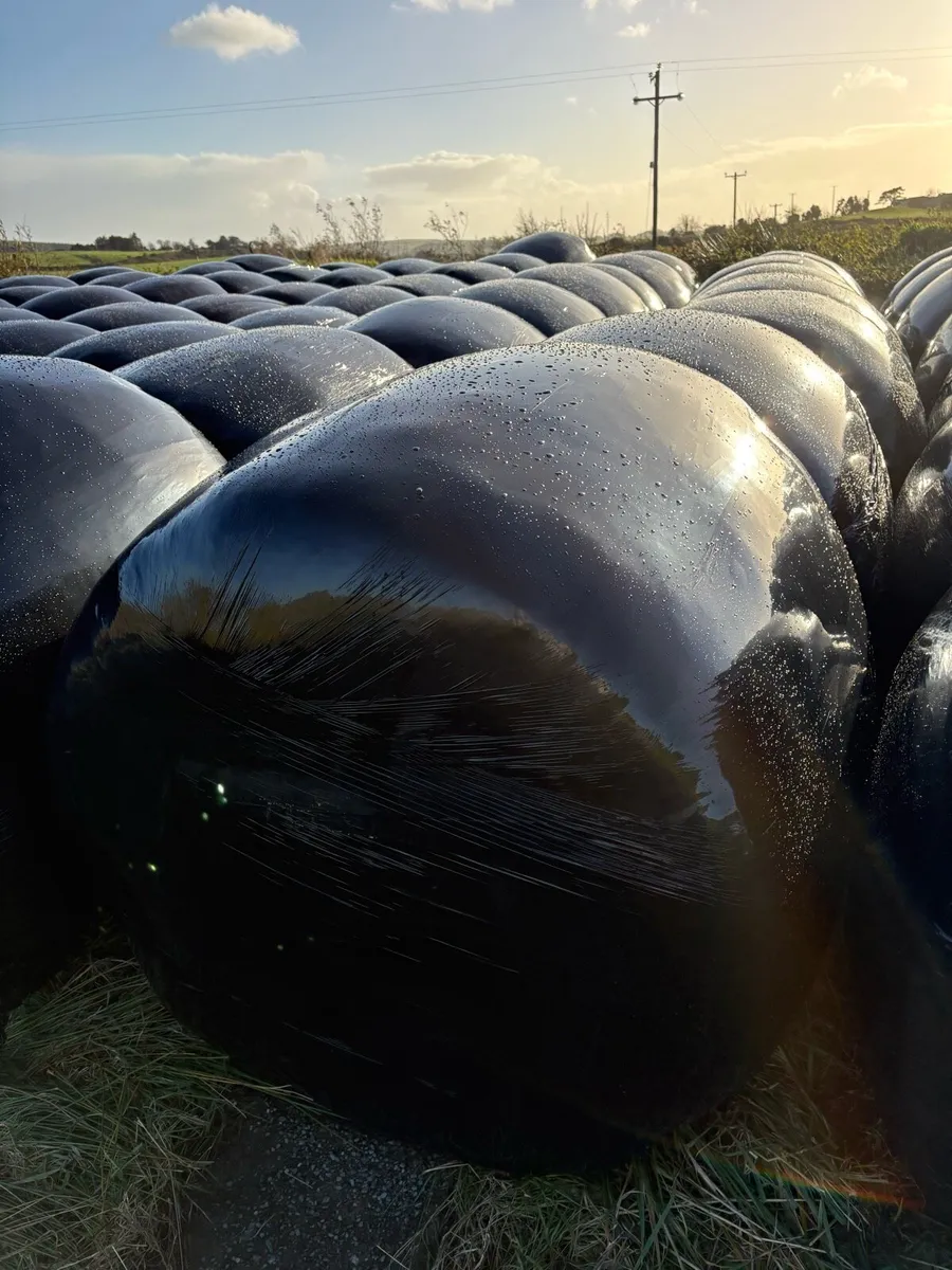 2026 Silage bales - Image 1