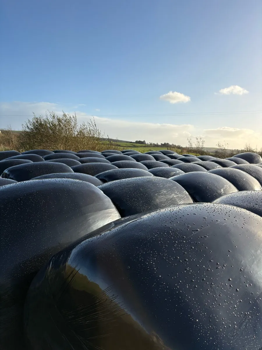 2026 Silage bales - Image 2