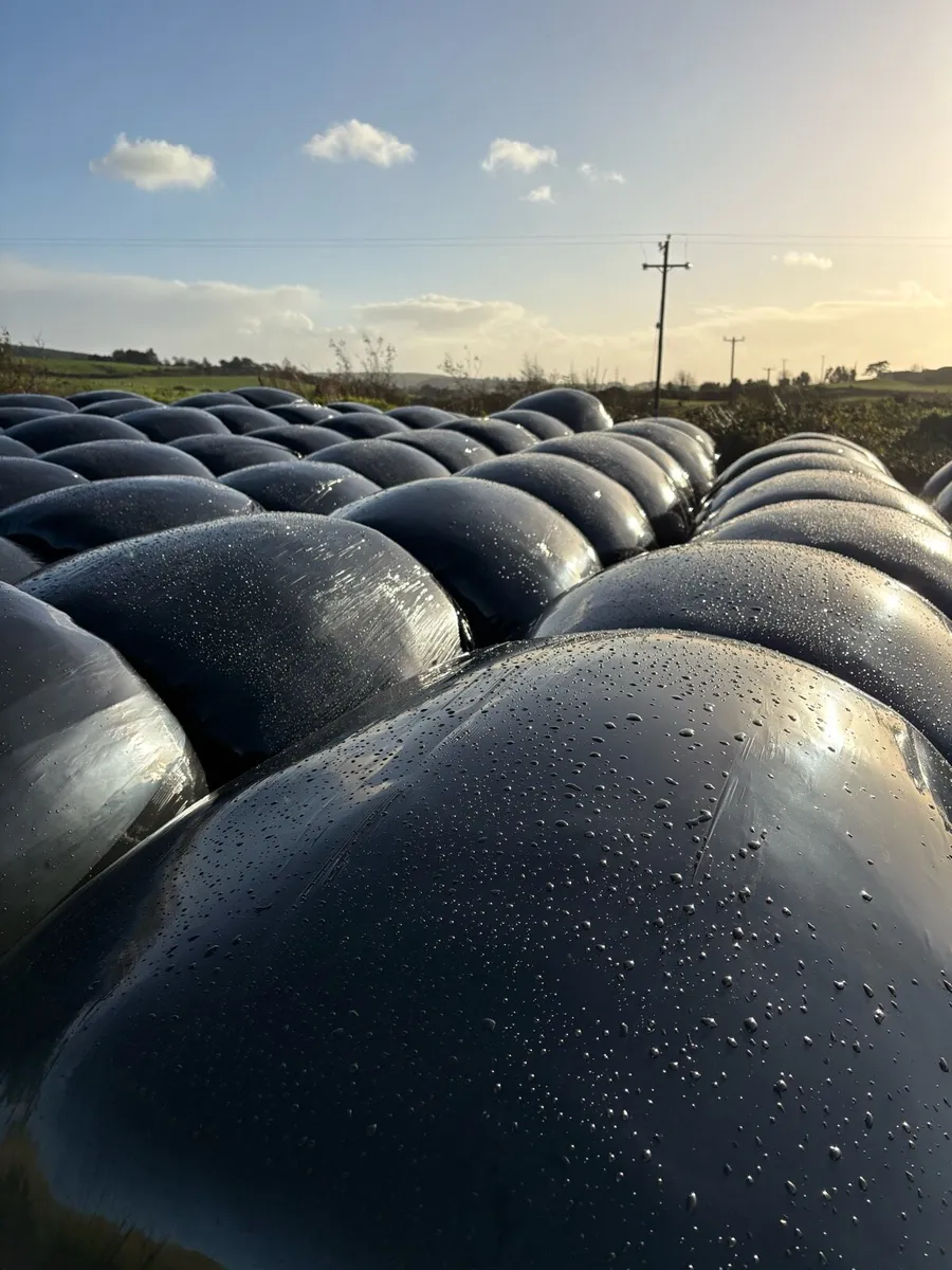 2026 Silage bales - Image 3