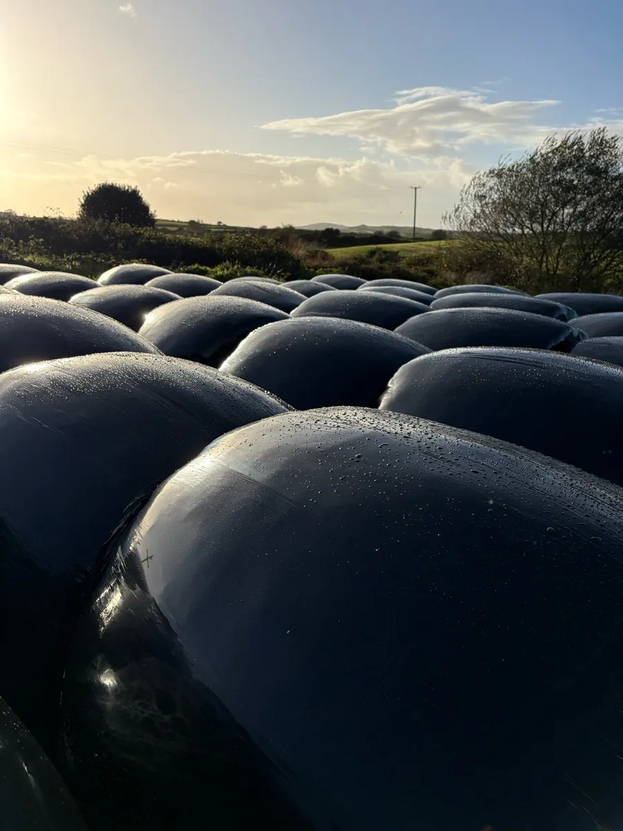 2026 Silage bales - Image 4