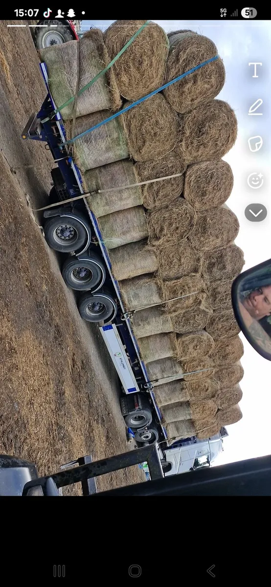 Hay