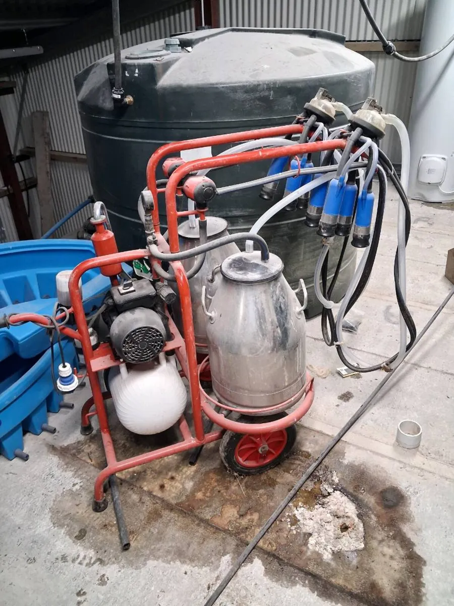 Portable milking machine double - Image 1