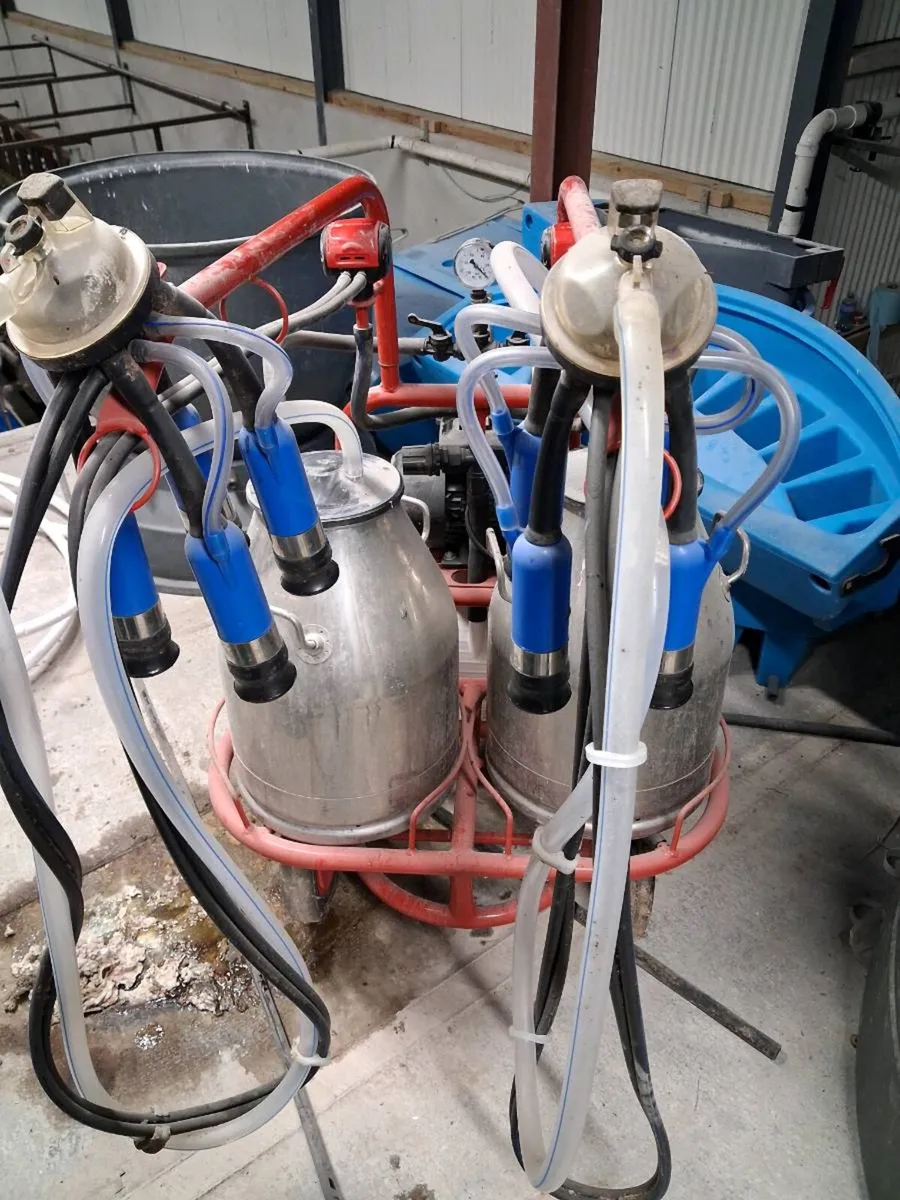 Portable milking machine double - Image 2