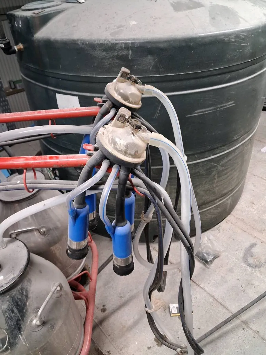 Portable milking machine double - Image 3