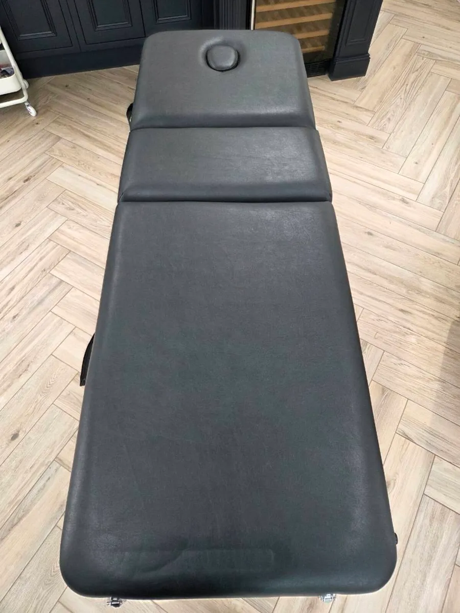 Professional Massage Table - Image 1