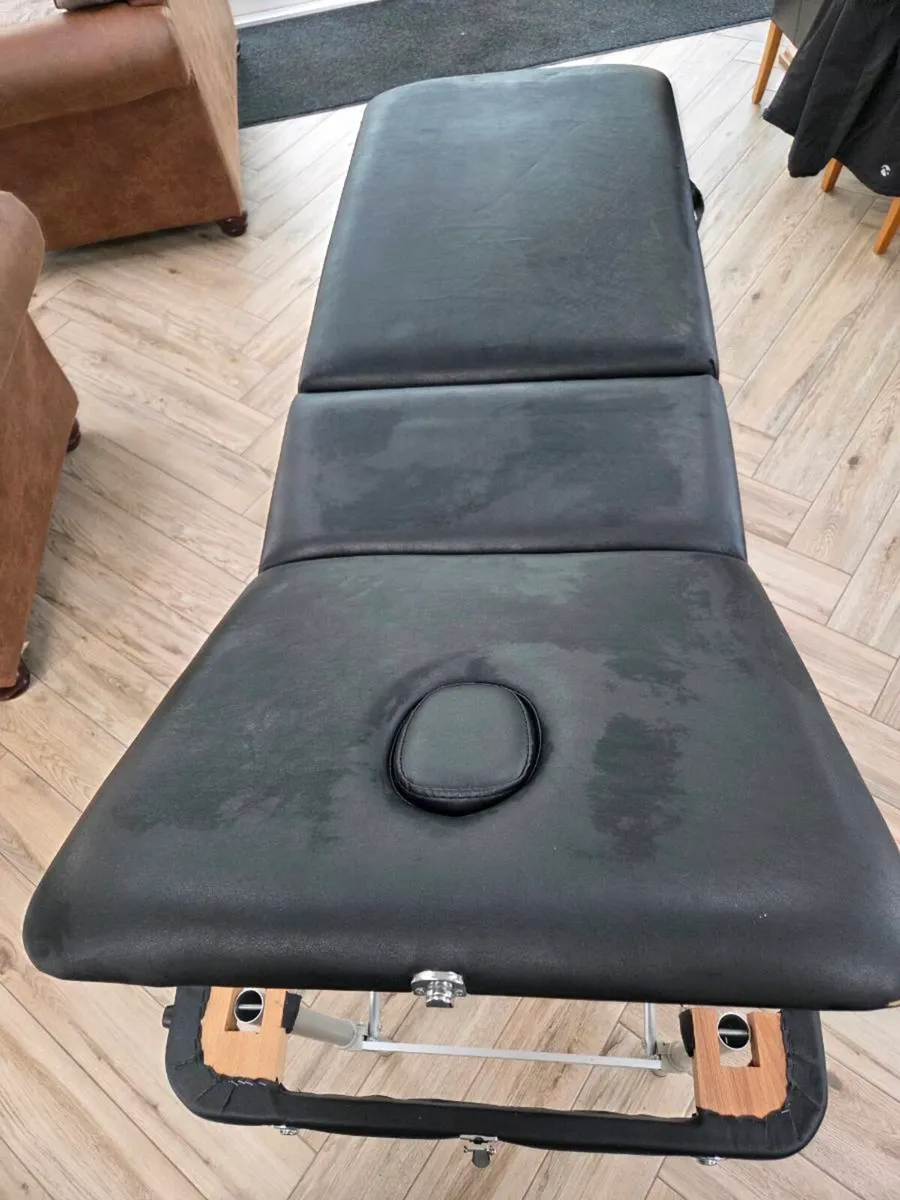 Professional Massage Table - Image 4