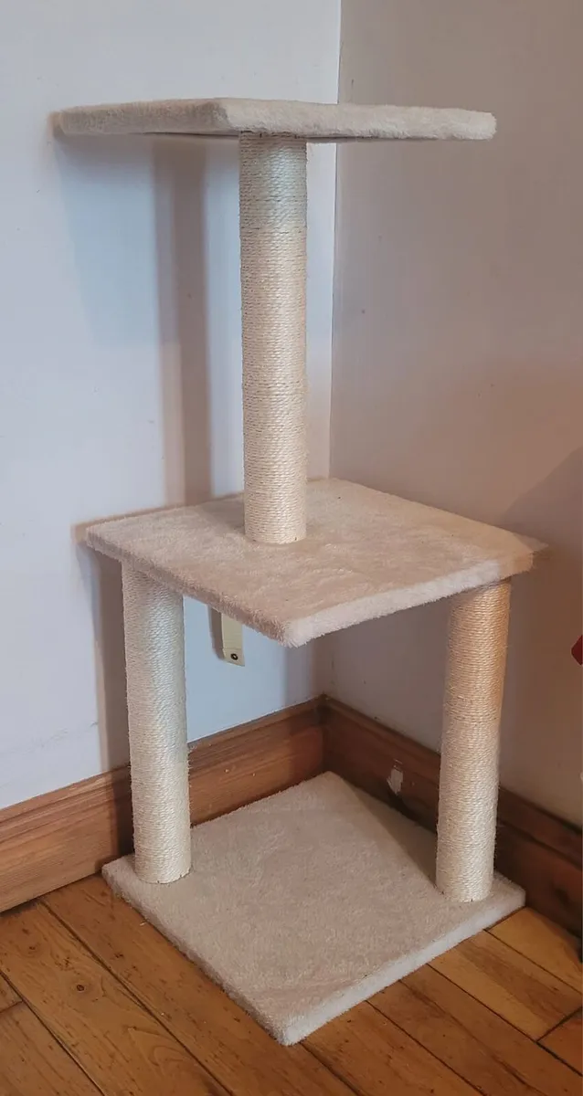 Cat scratcher