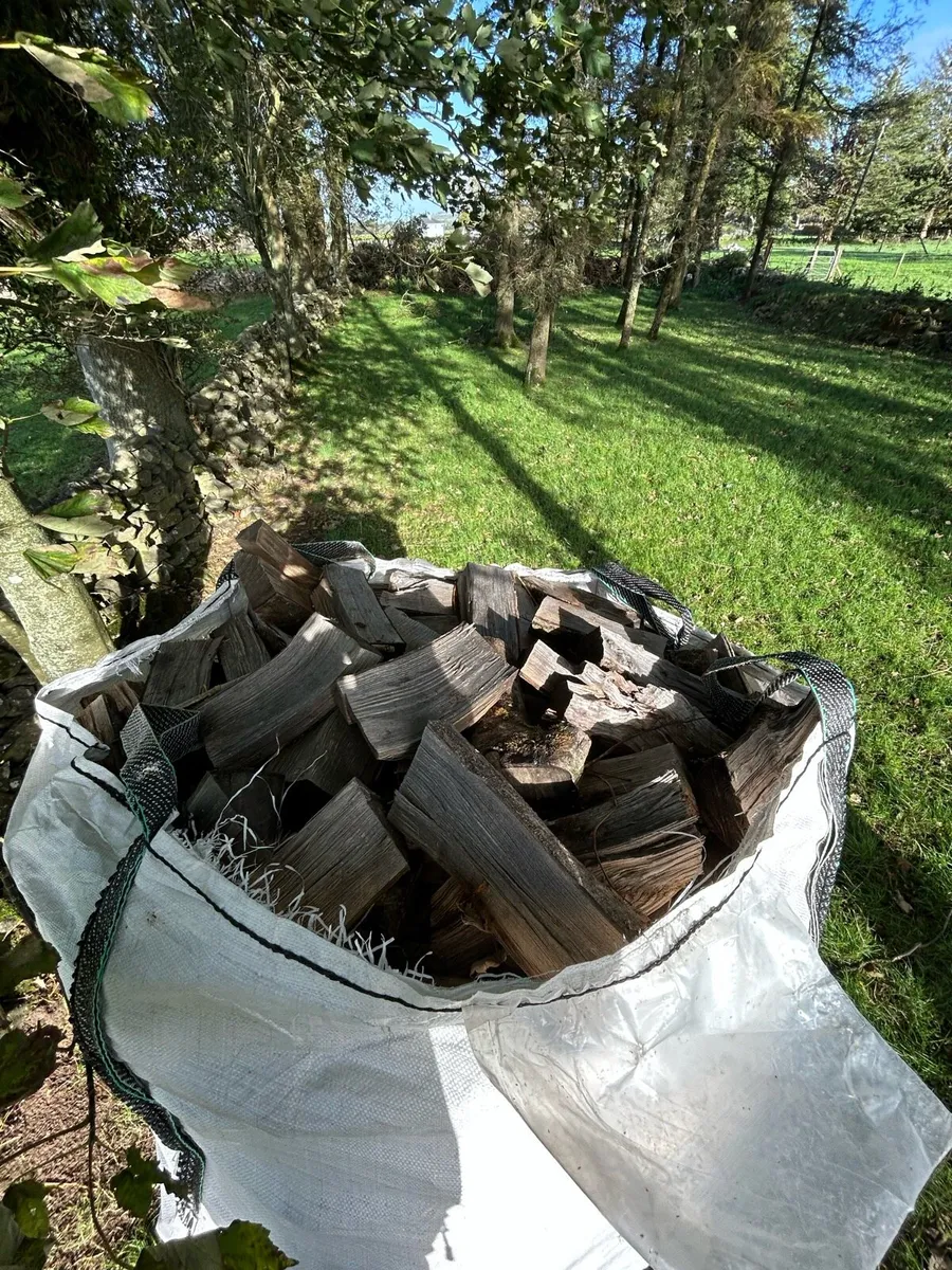 Firewood - Image 2