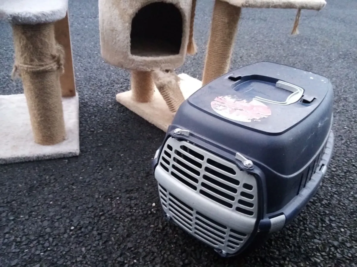 Cat Bundle - Image 2