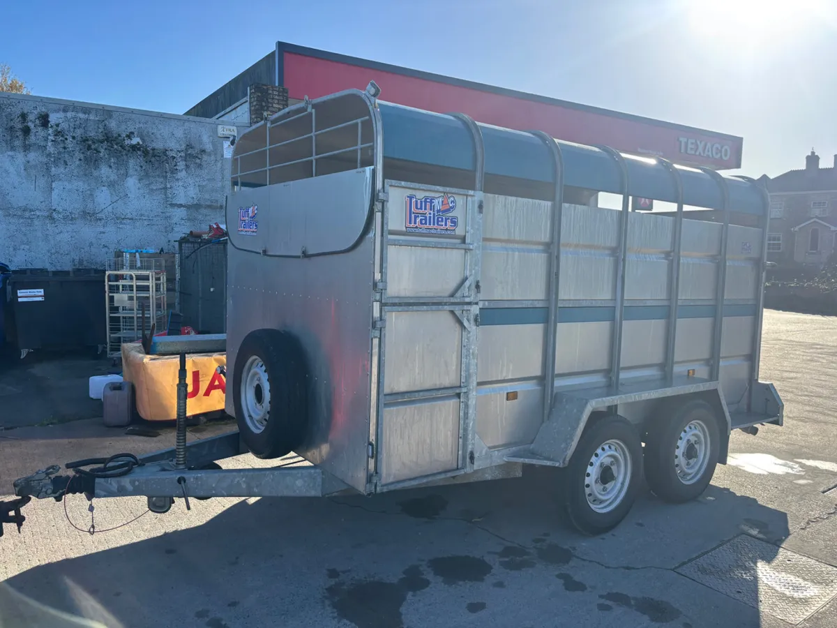 tuffmac 12ft cattle trailer - Image 3