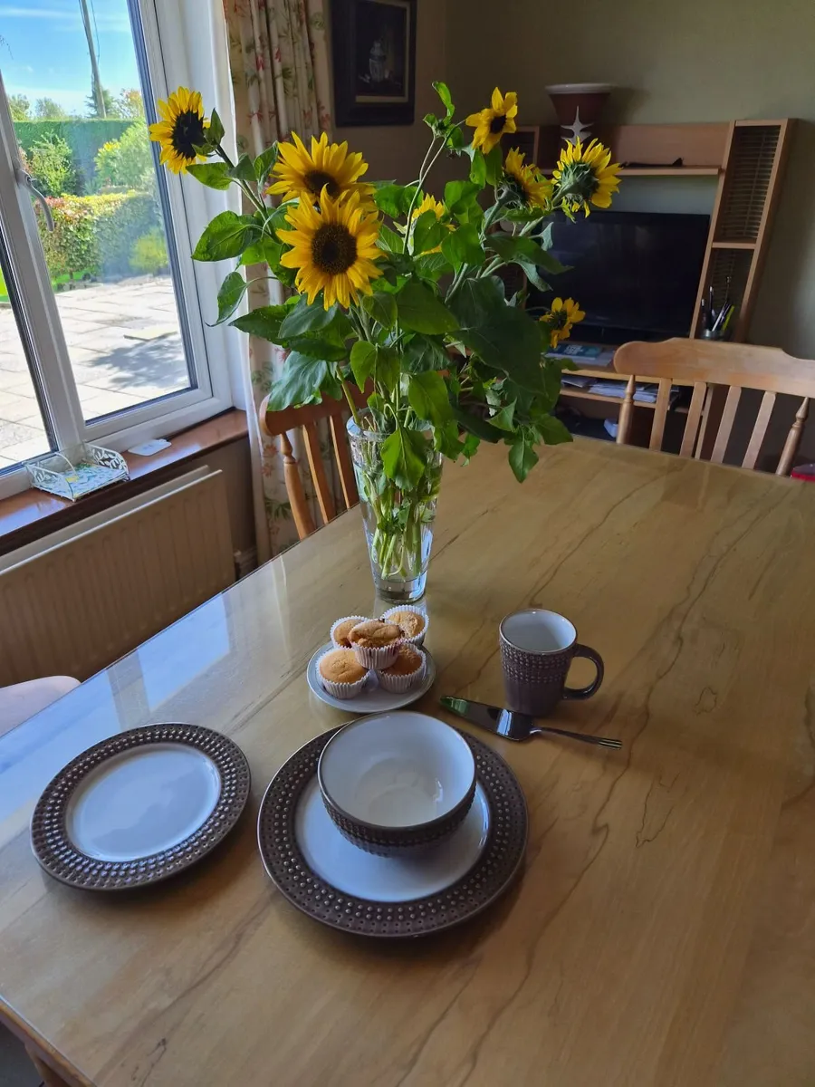 Denby 16 Piece dinner set - Image 1