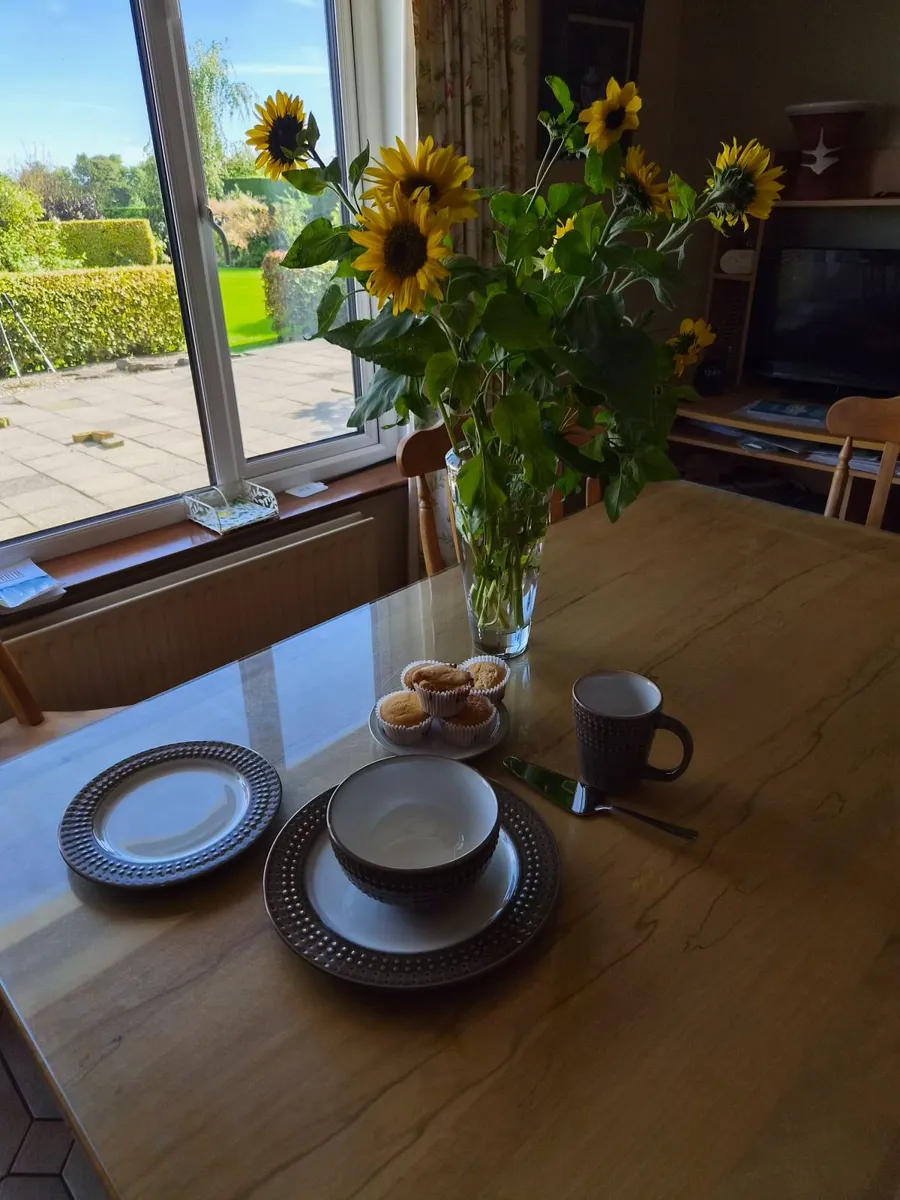 Denby 16 Piece dinner set - Image 2