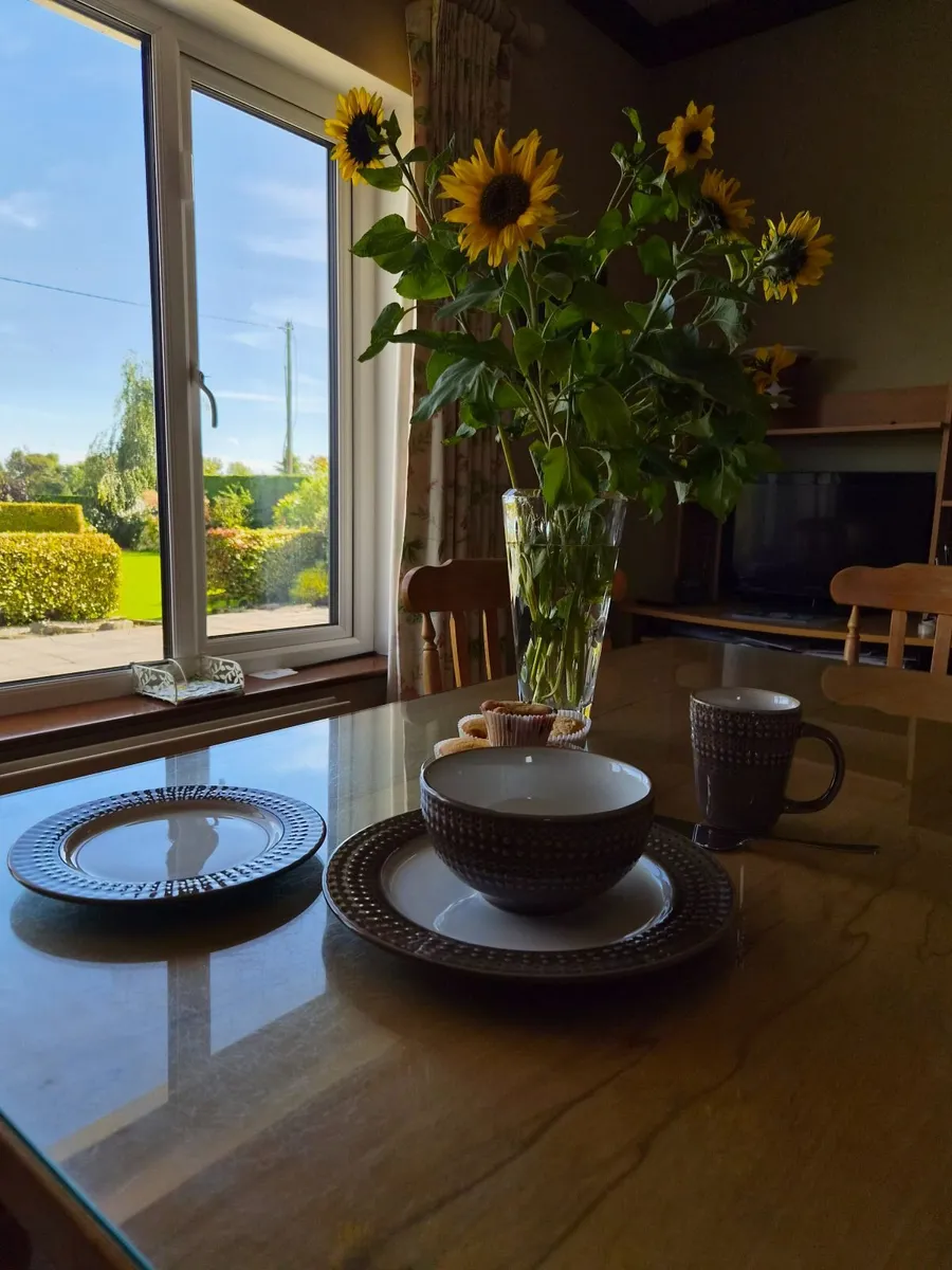 Denby 16 Piece dinner set - Image 3