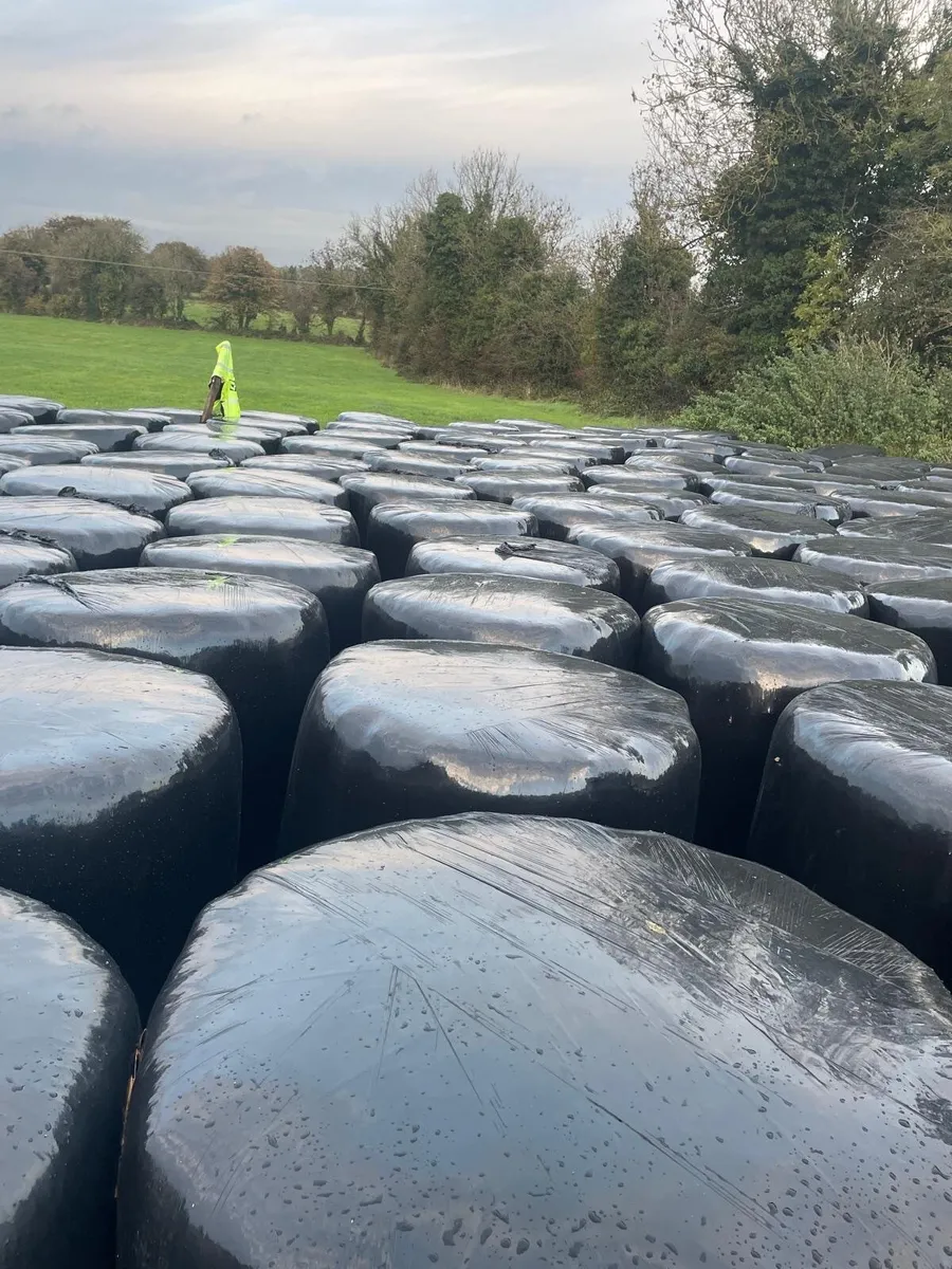bales of silage