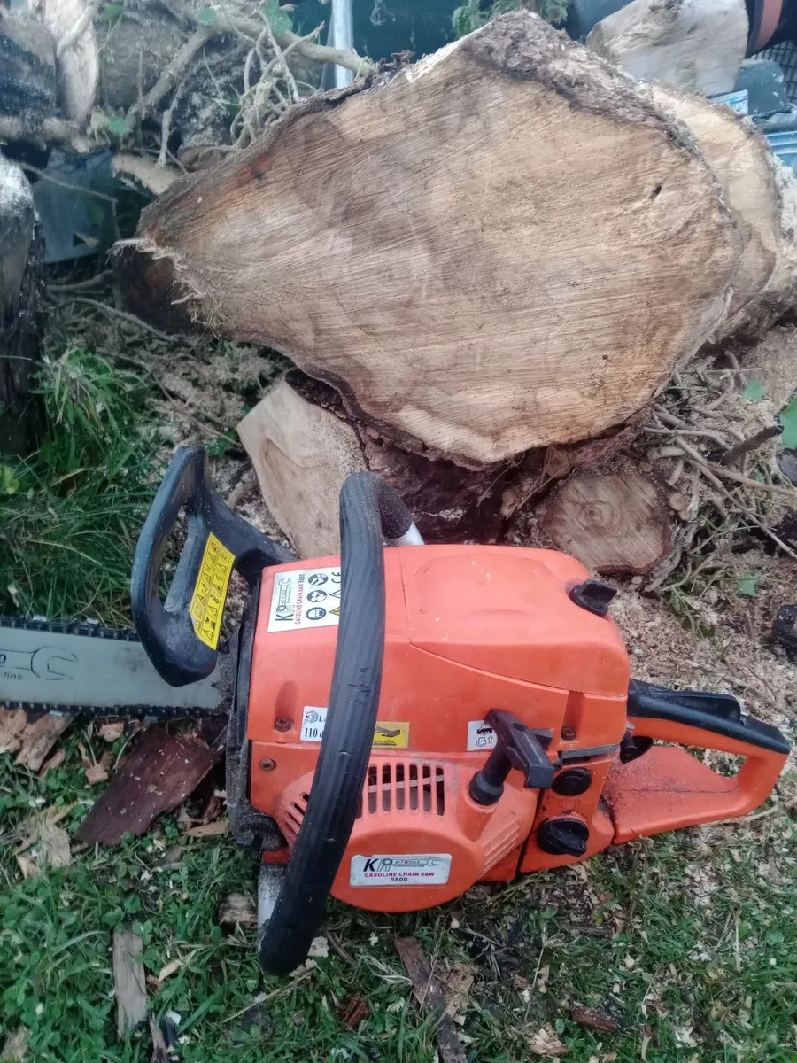 Chainsaw - Image 1