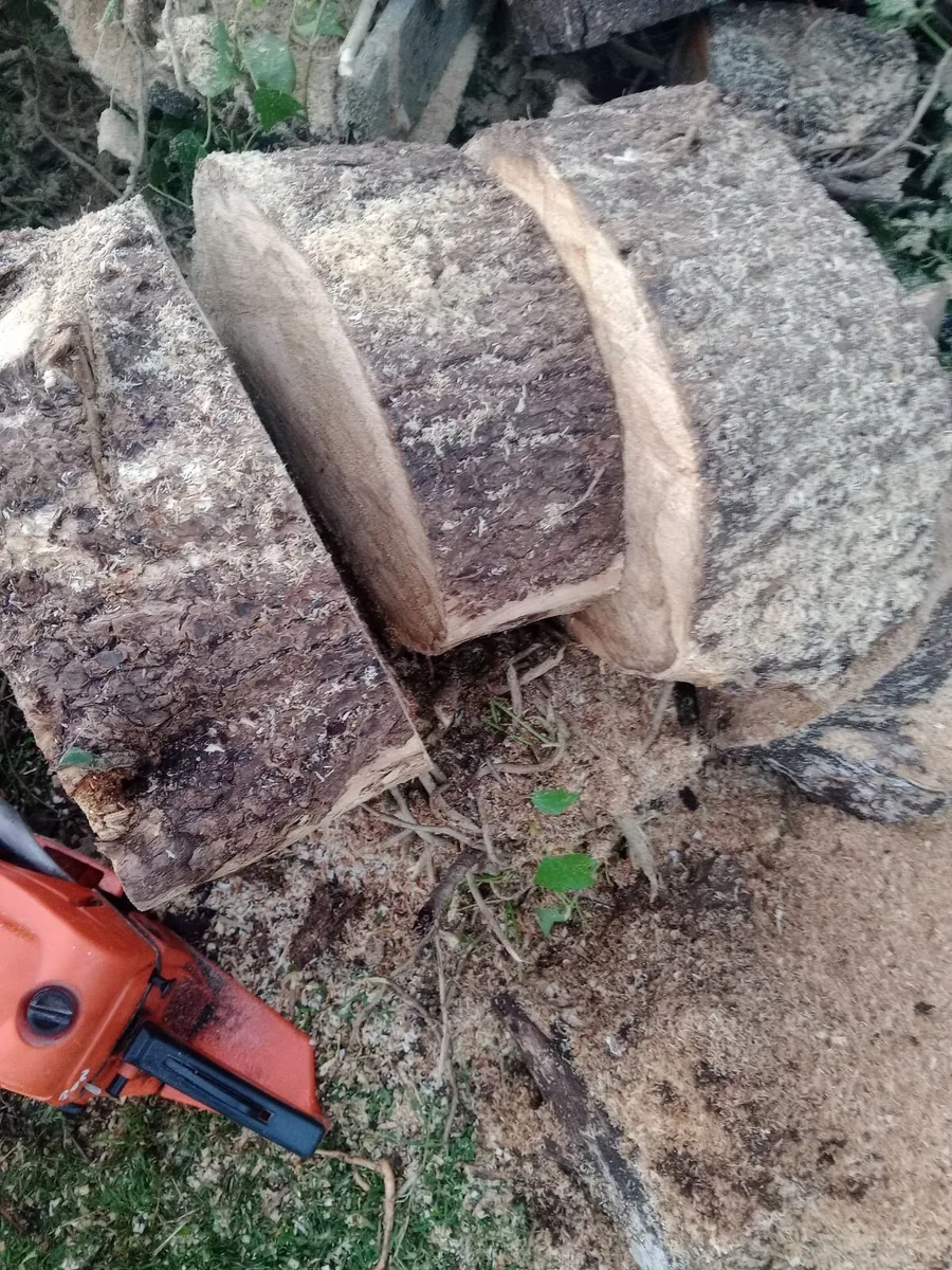Chainsaw - Image 2