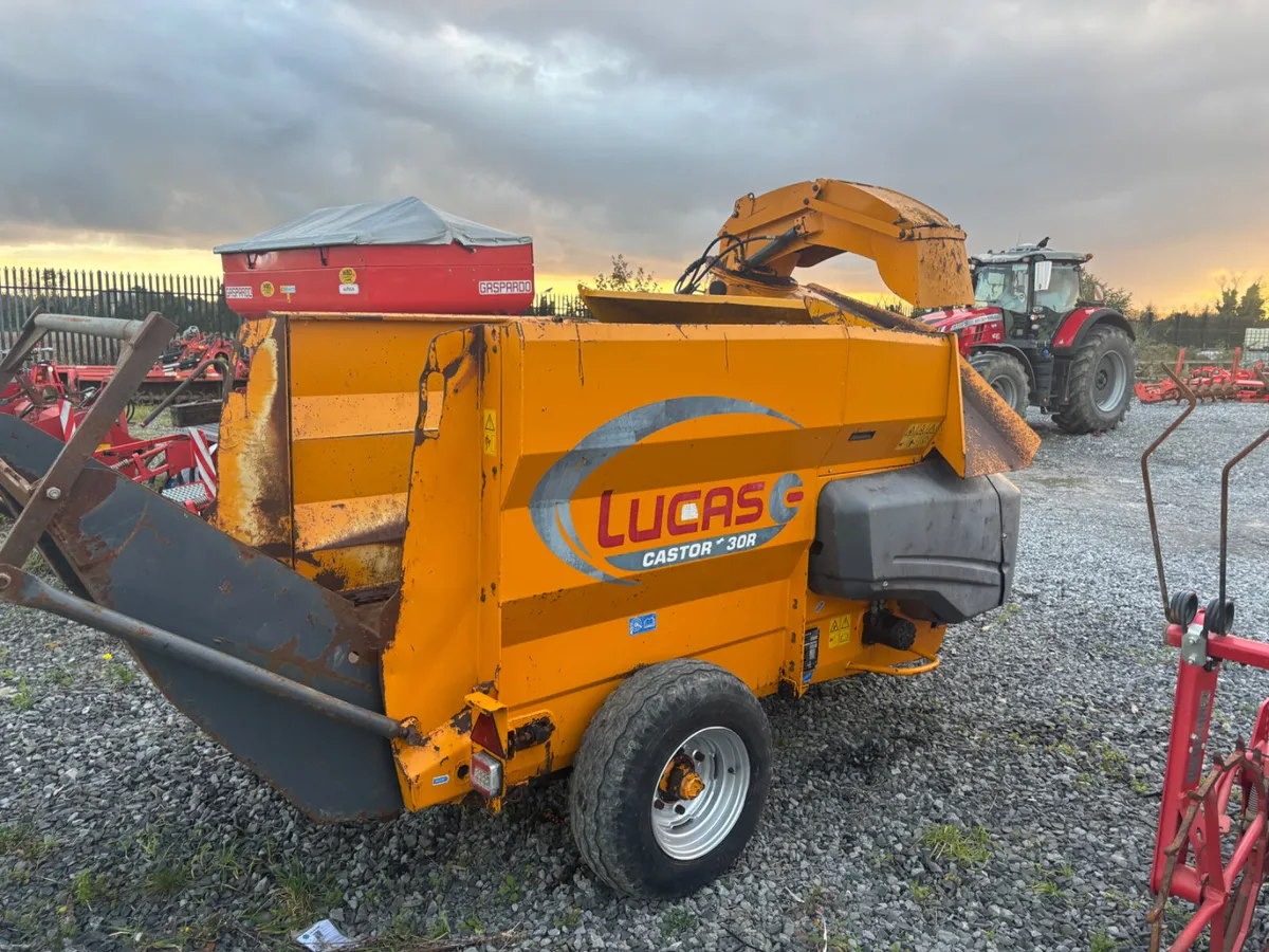 Lucas G Castor 30 - Image 2
