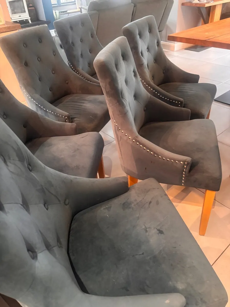 Dining chairs - Image 4