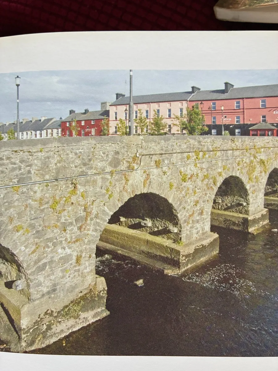 The Architectural Heritage of County Sligo - Image 4