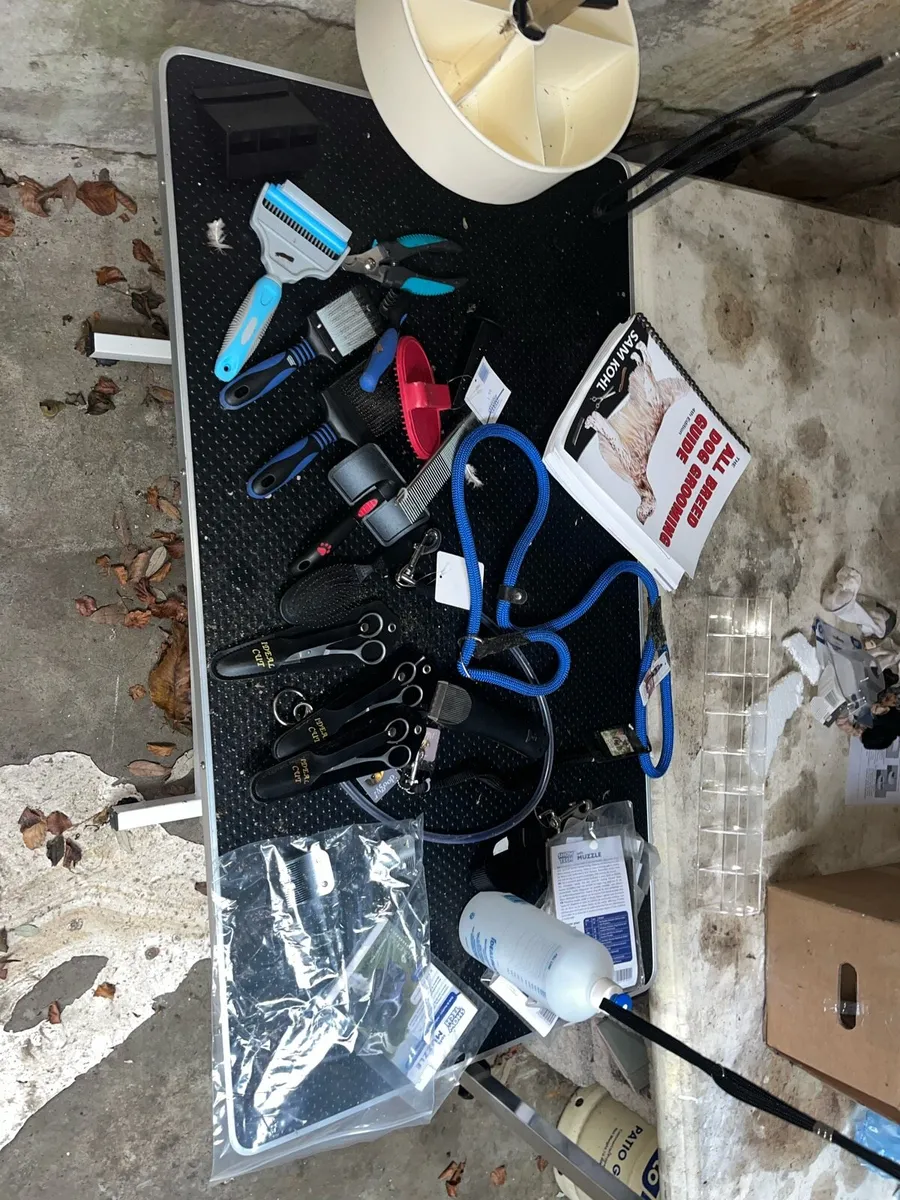 Dog Grooming Equipment Bundle with Hydraulic Table - Image 2
