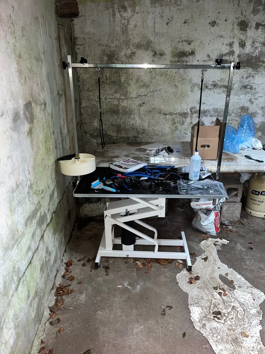 Dog Grooming Equipment Bundle with Hydraulic Table - Image 1