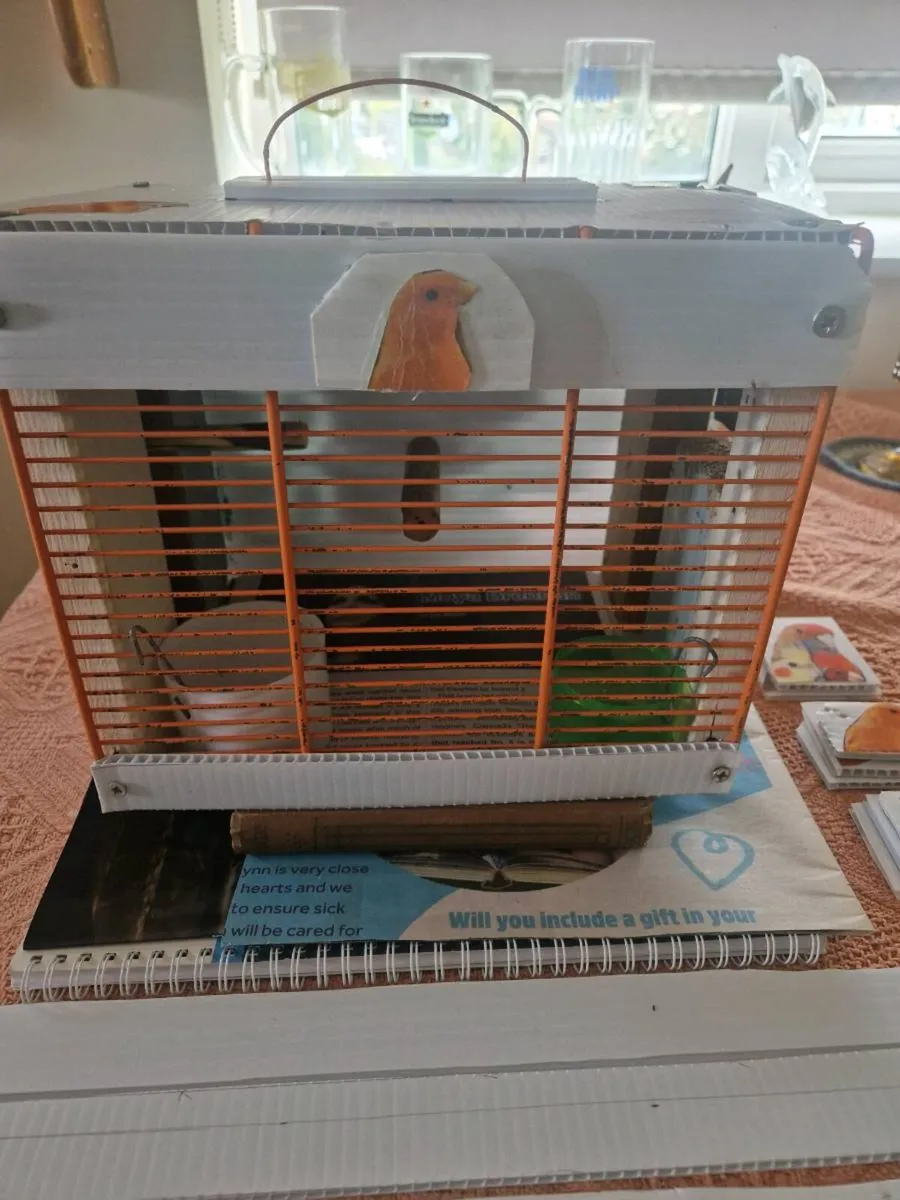 Transport  Box cage budgies. - Image 2