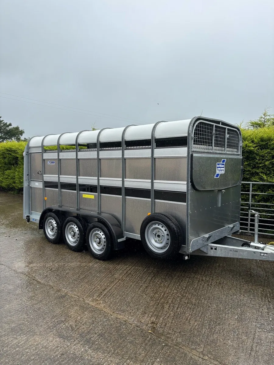 New Ifor Williams 14ft - Image 1