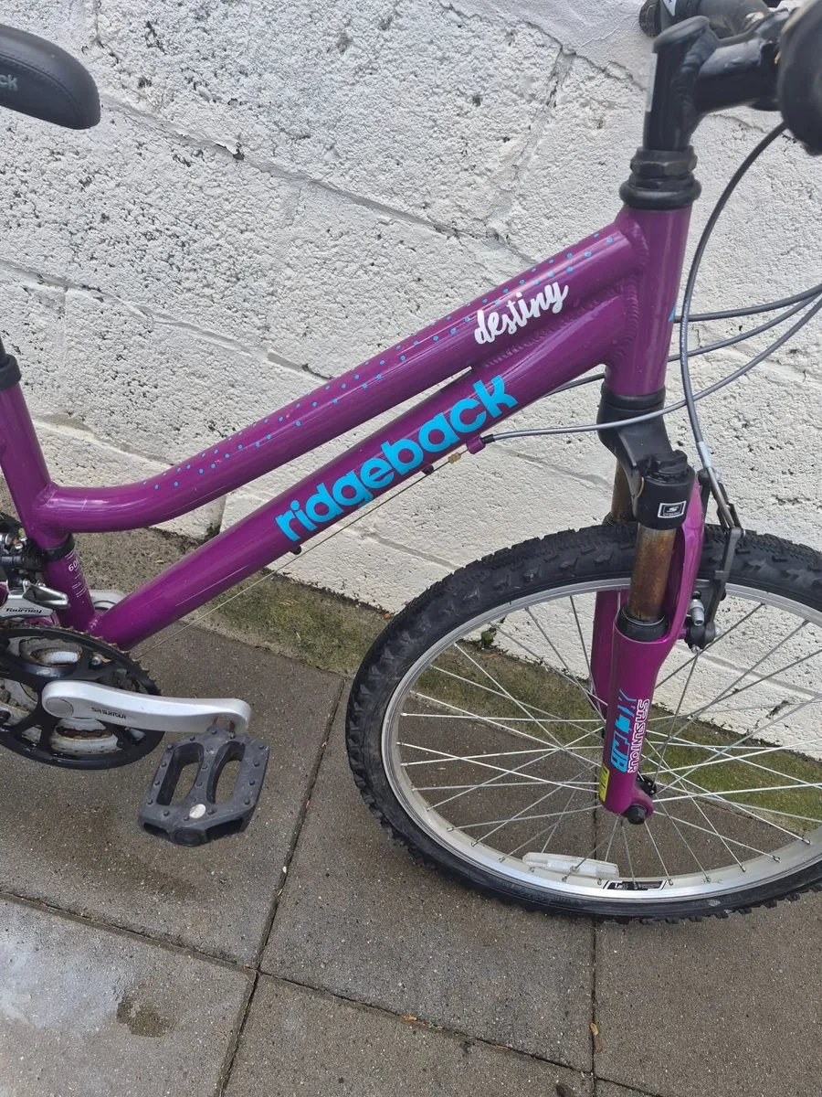 Girls Ridgeback Destiny Bike - Image 2