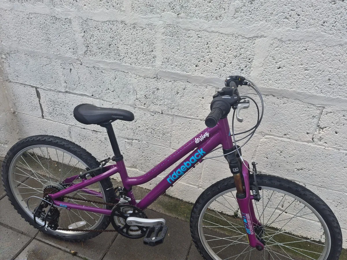 Girls Ridgeback Destiny Bike - Image 1