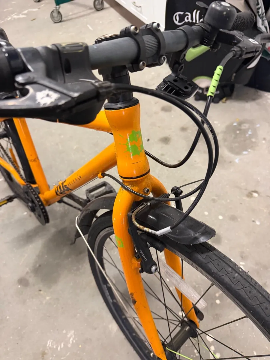 Kids frog bike - Image 1