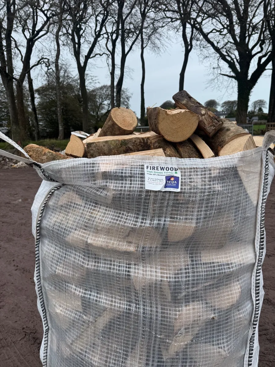 Firewood - Image 4