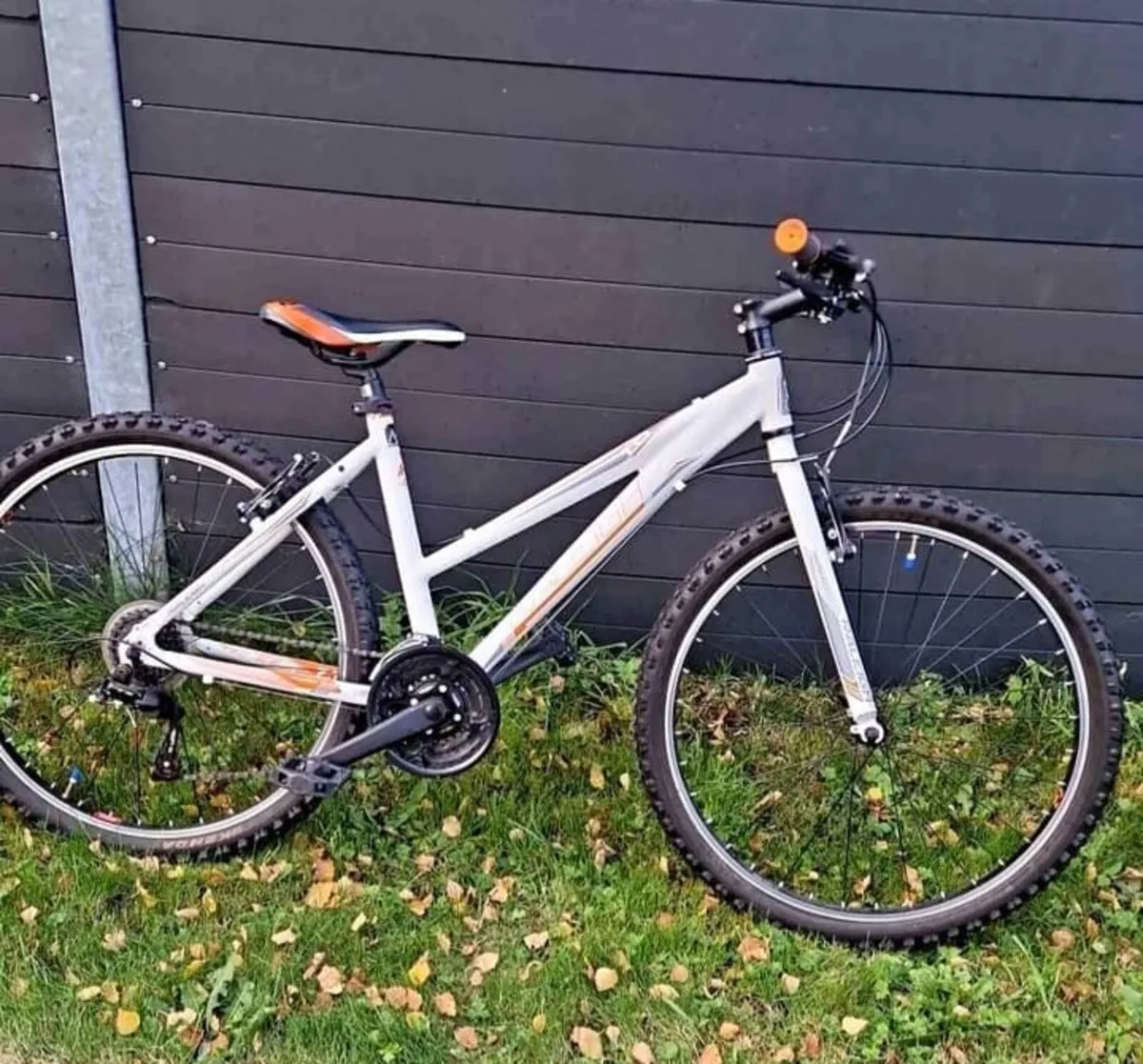 RALEIGH TALUS 1.0 LDS 24 INCH - Image 1