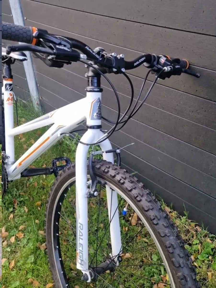 RALEIGH TALUS 1.0 LDS 24 INCH - Image 2