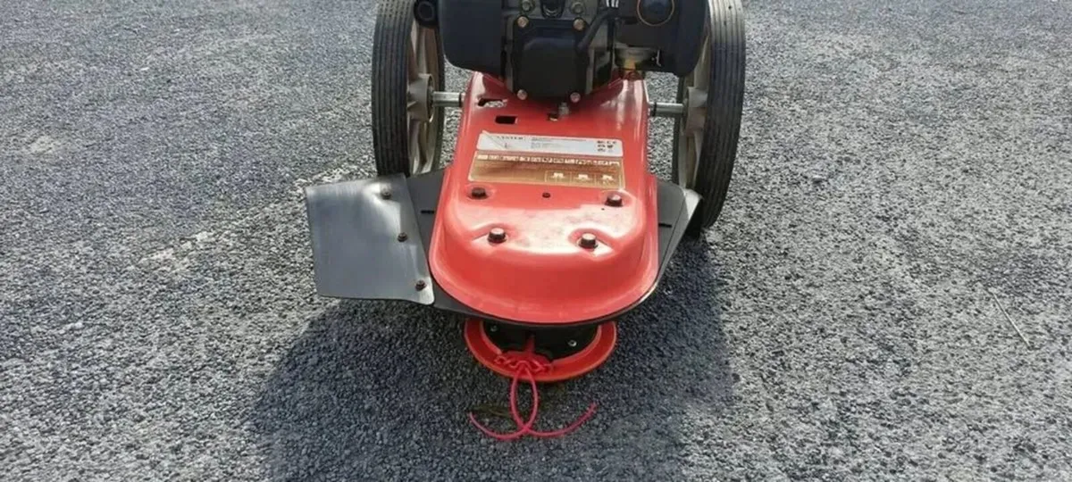 WALK BEHIND STRIMMER - FOR HIRE - Image 3