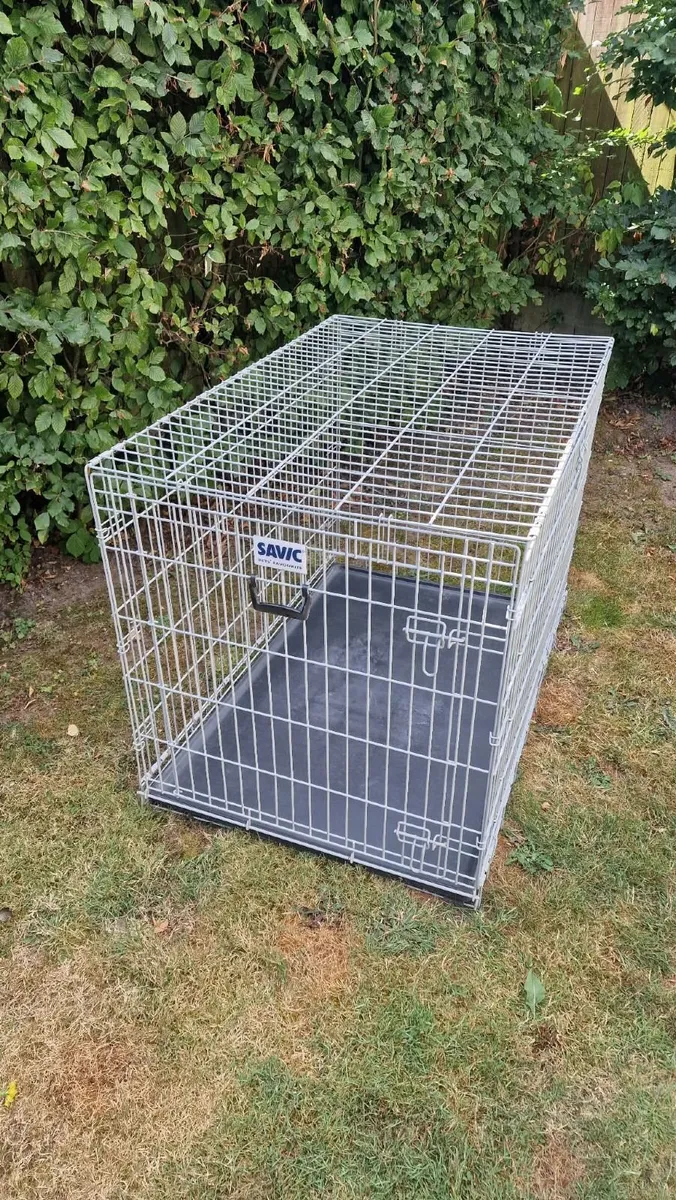 Dog Crate - Image 1