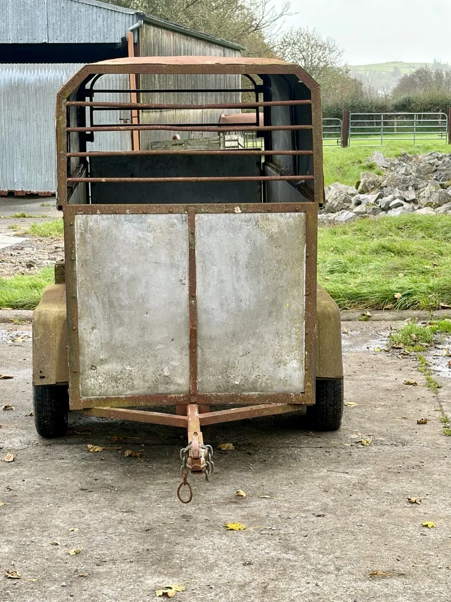 Twin Axle Livestock / Sheep Trailer - Image 1