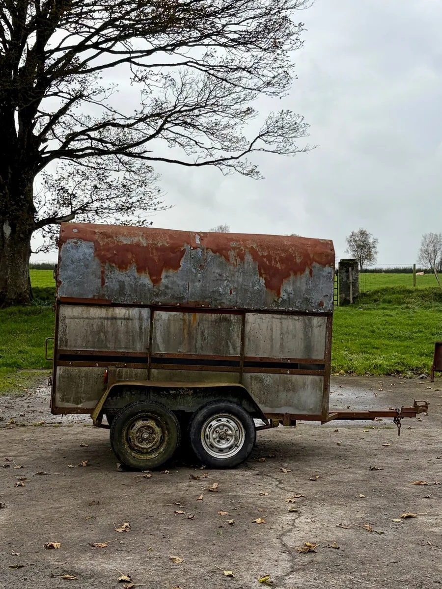 Twin Axle Livestock / Sheep Trailer - Image 3
