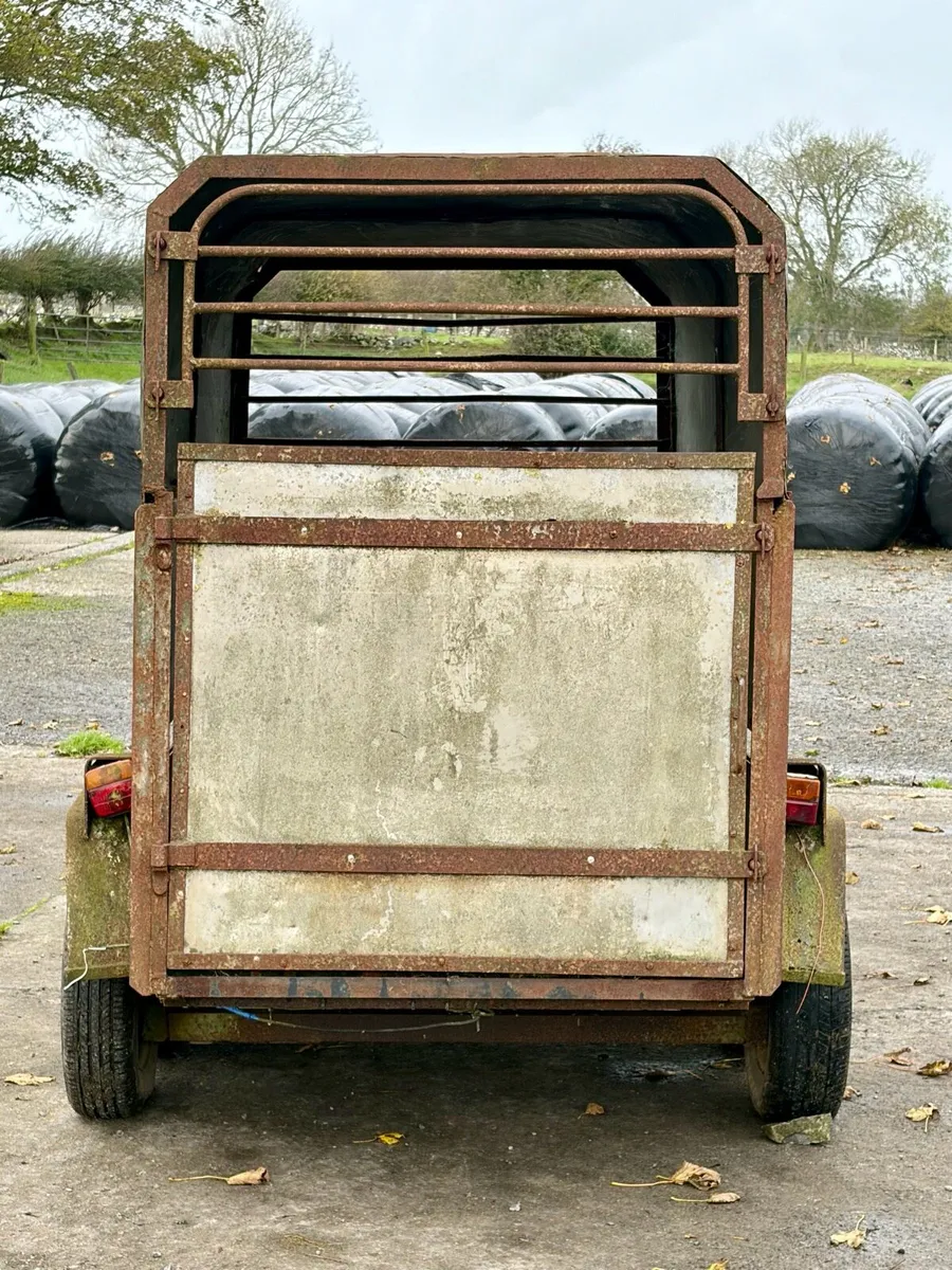 Twin Axle Livestock / Sheep Trailer - Image 2