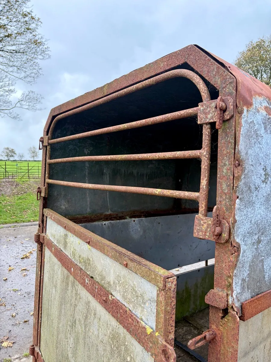 Twin Axle Livestock / Sheep Trailer - Image 4