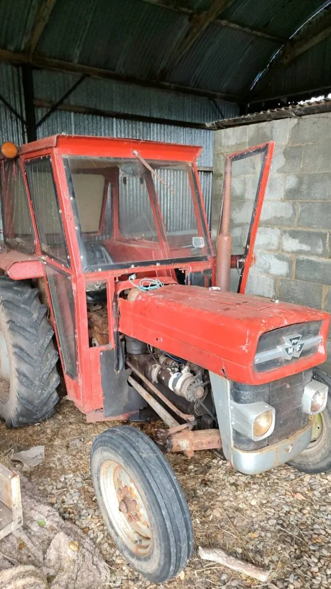 135 mf tractor - Image 1